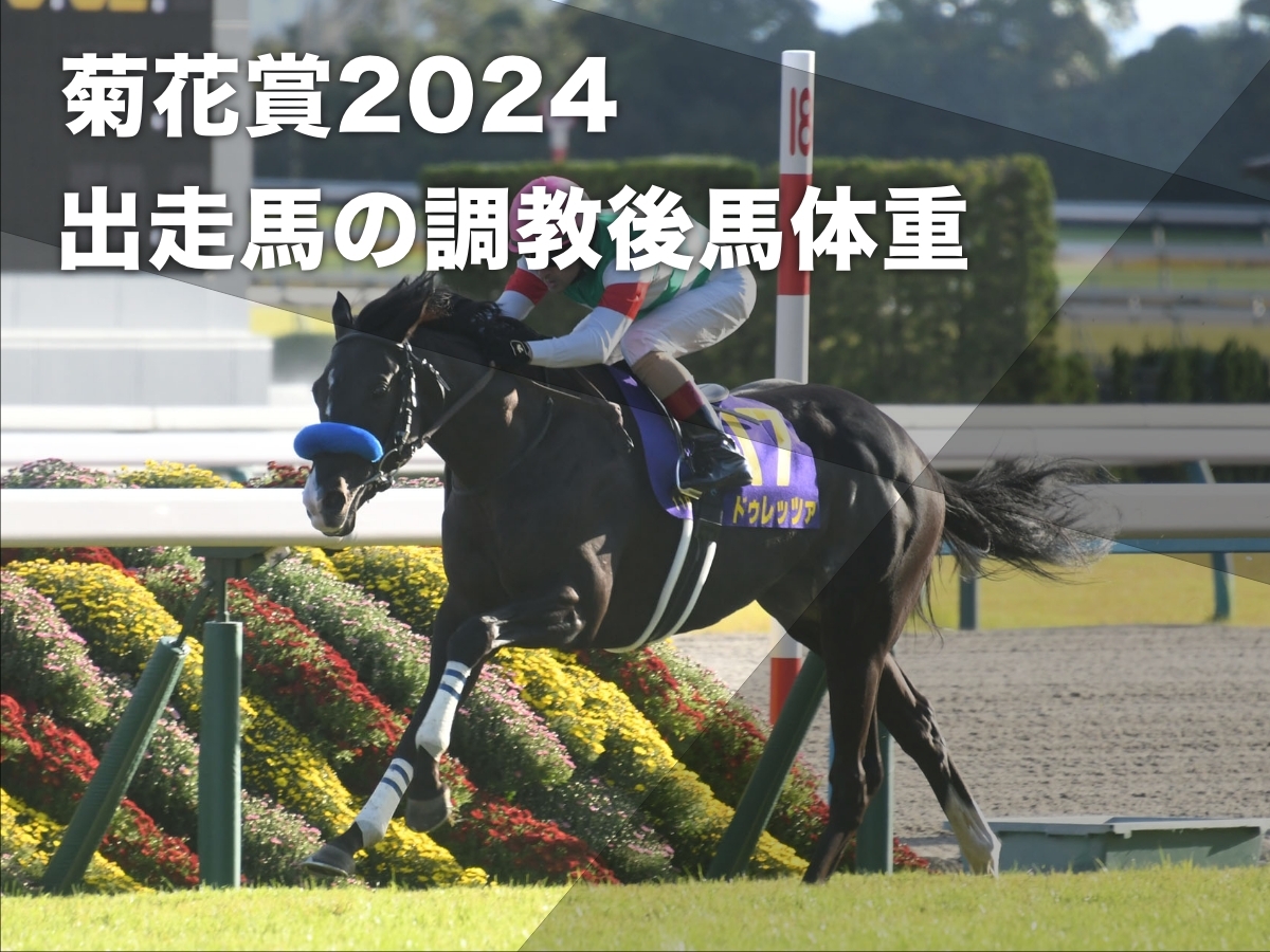 2023年の菊花賞馬ドゥレッツァ(c)netkeiba