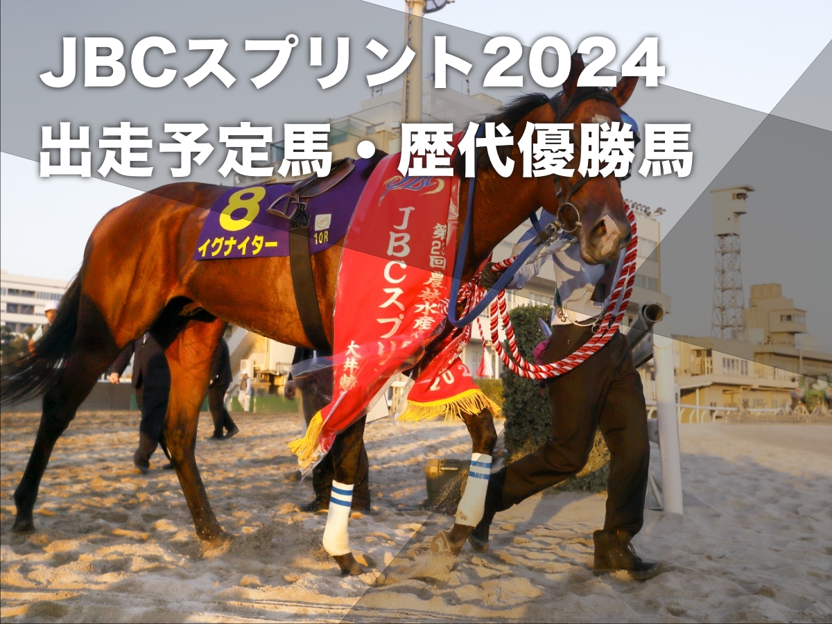 2023年のJBCスプリントを制したイグナイター(撮影：高橋正和)