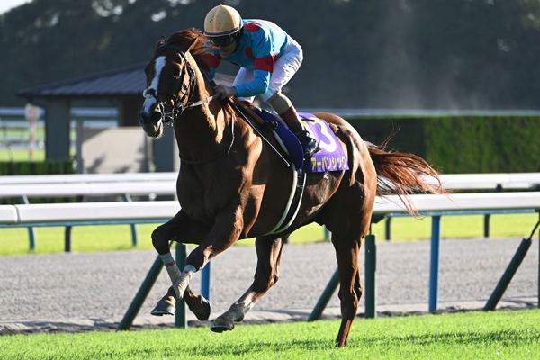 菊花賞 歴代優勝馬・騎手一覧（過去G1結果）