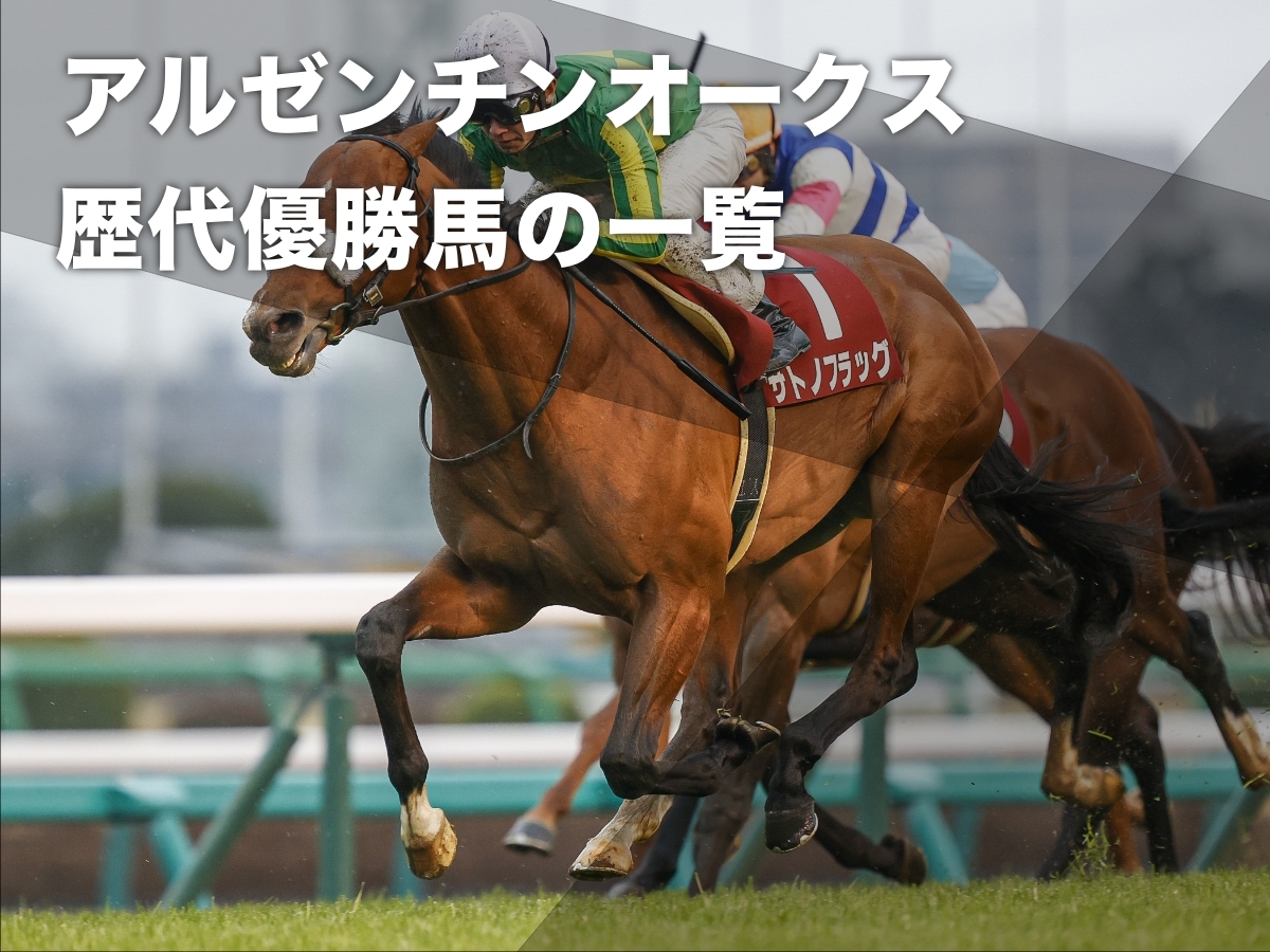 2011年亜オークス馬バラダセールの仔サトノフラッグ(撮影：下野雄規)