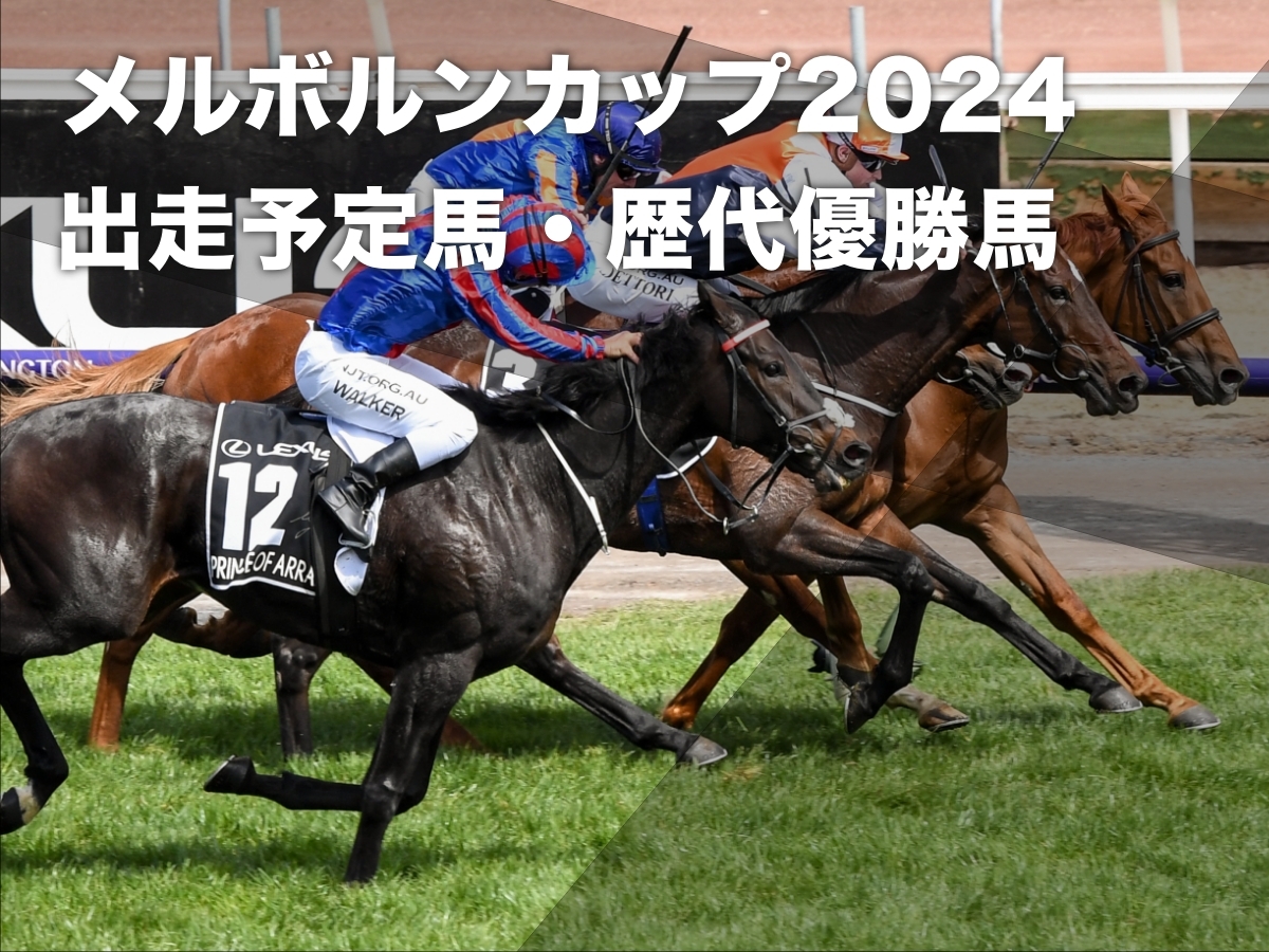 2019年メルボルンカップの様子(提供：racing photos)