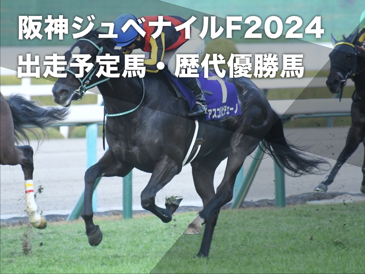 2023年の阪神ジュベナイルフィリーズ覇者アスコリピチェーノ(c)netkeiba.com