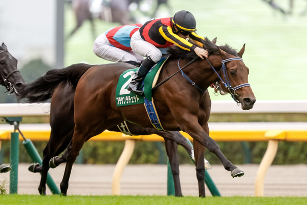 【アルテミスステークス 2024結果情報】ブラウンラチェットが好位から抜け出し快勝