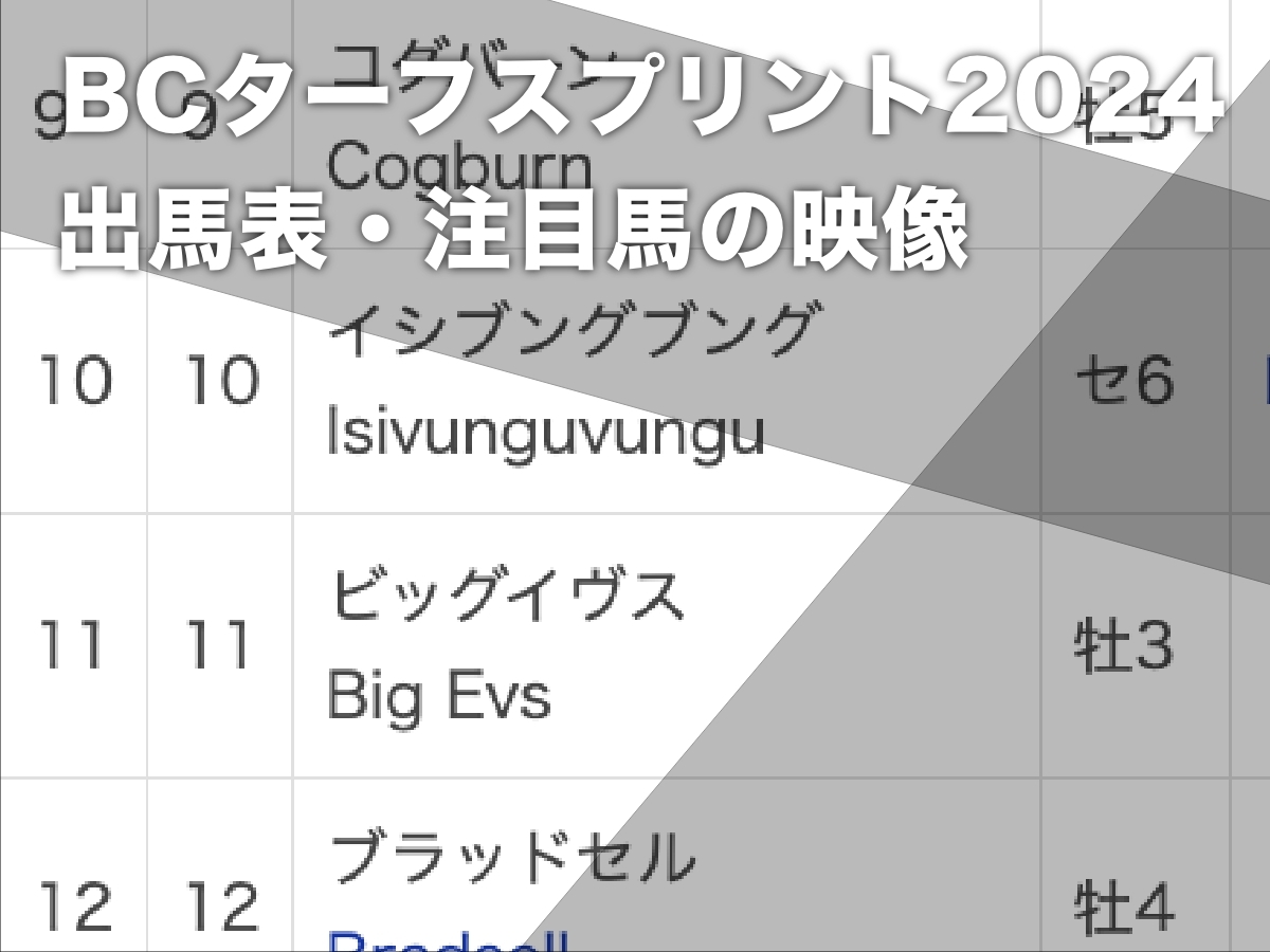 【BCターフスプリント2024枠順】米短距離王コグバーン9番・欧州短距離王ブラッドセル12番など最新情報【11月3日(日)4時41分】