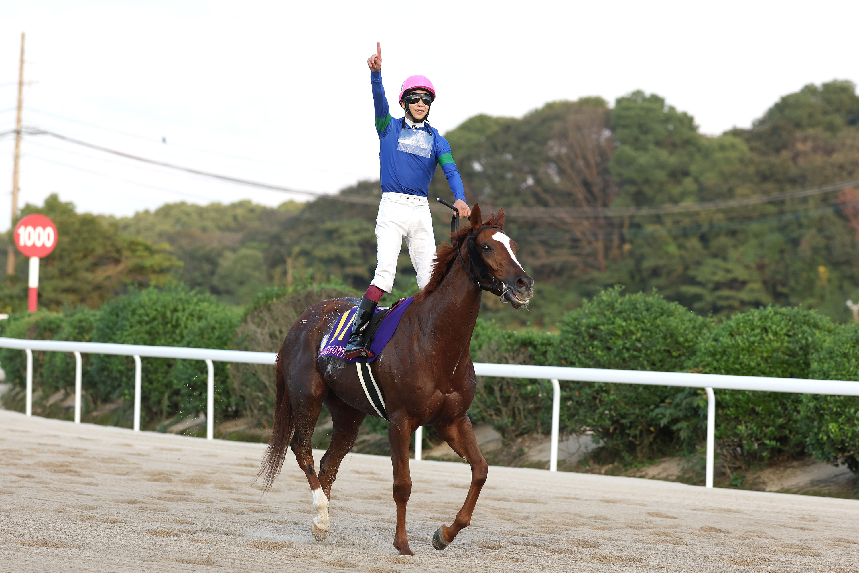 JBCレディスクラシックでG1級競走初制覇を飾ったアンモシエラ(撮影：稲葉訓也)