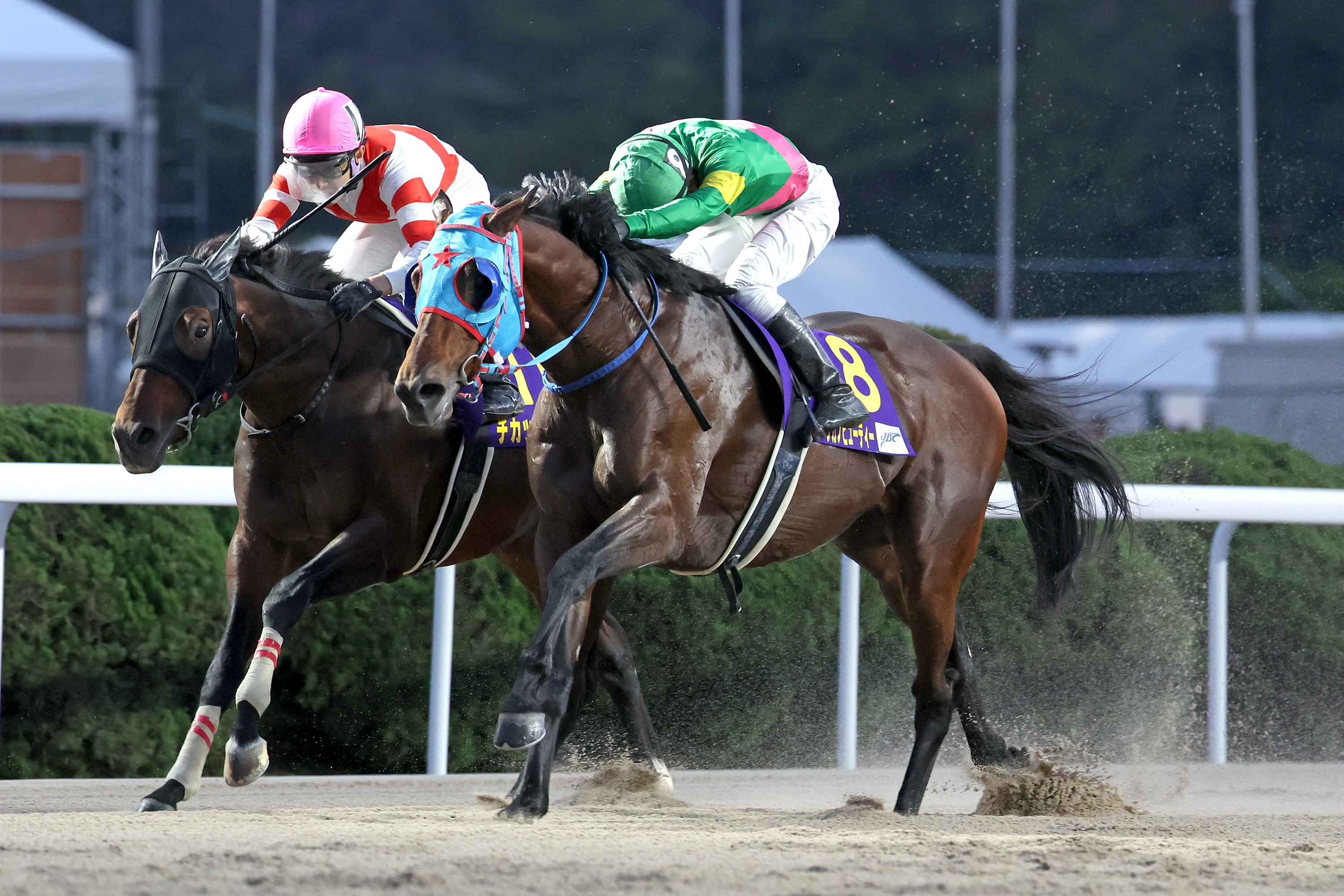 トーセンラー 現地単勝馬券 2013年マイルチャンピオンシップ
