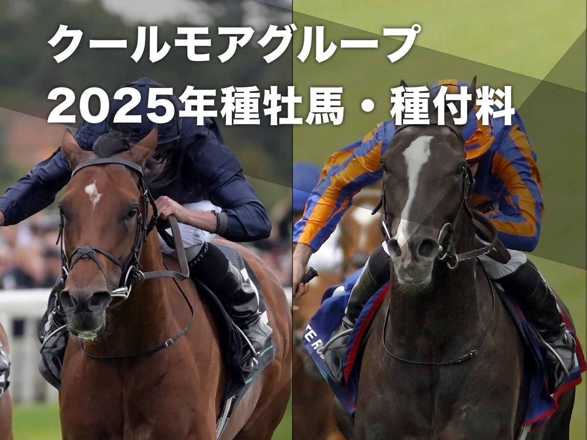 2024年の欧州競馬を彩ったシティオブトロイ(左)、オーギュストロダン(右)