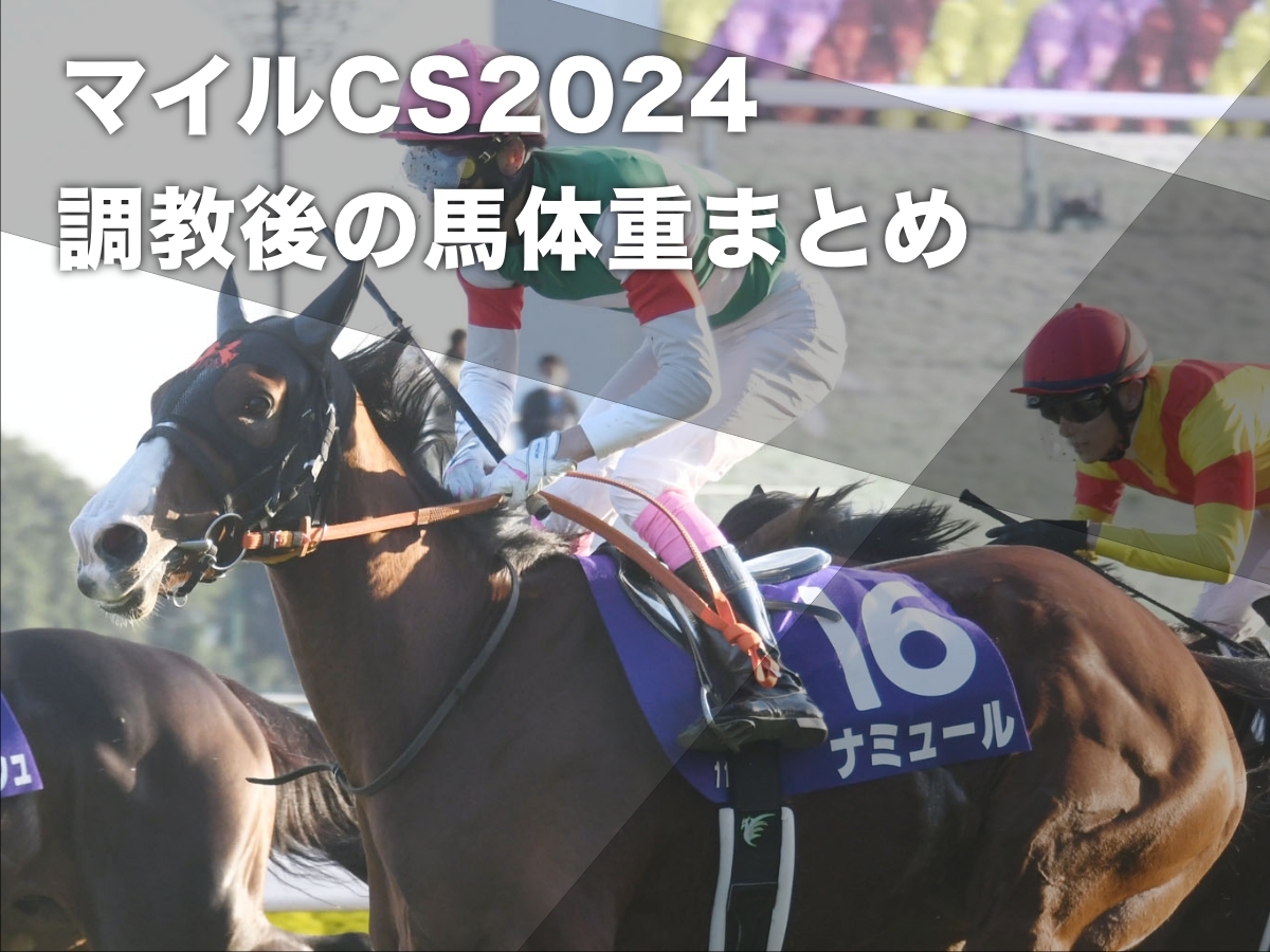 【マイルチャンピオンシップ2024】出走馬の調教後馬体重まとめ ブレイディヴェーグ470kg・チャリン514kgなど最新情報