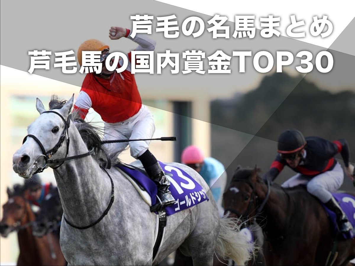 芦毛馬として歴代獲得賞金1位のゴールドシップ(撮影：下野雄規)