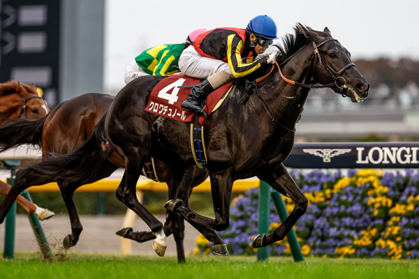 東スポ杯2歳Sを制したクロワデュノール(撮影：下野雄規)