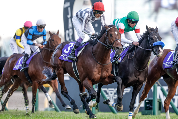 ジャパンカップ 歴代優勝馬・騎手一覧（過去G1結果）