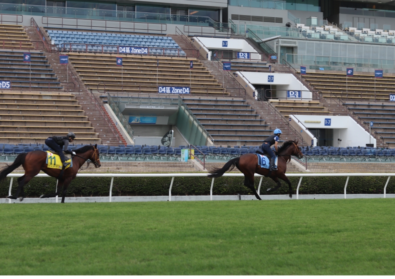 シャティン競馬場の様子(c)netkeiba