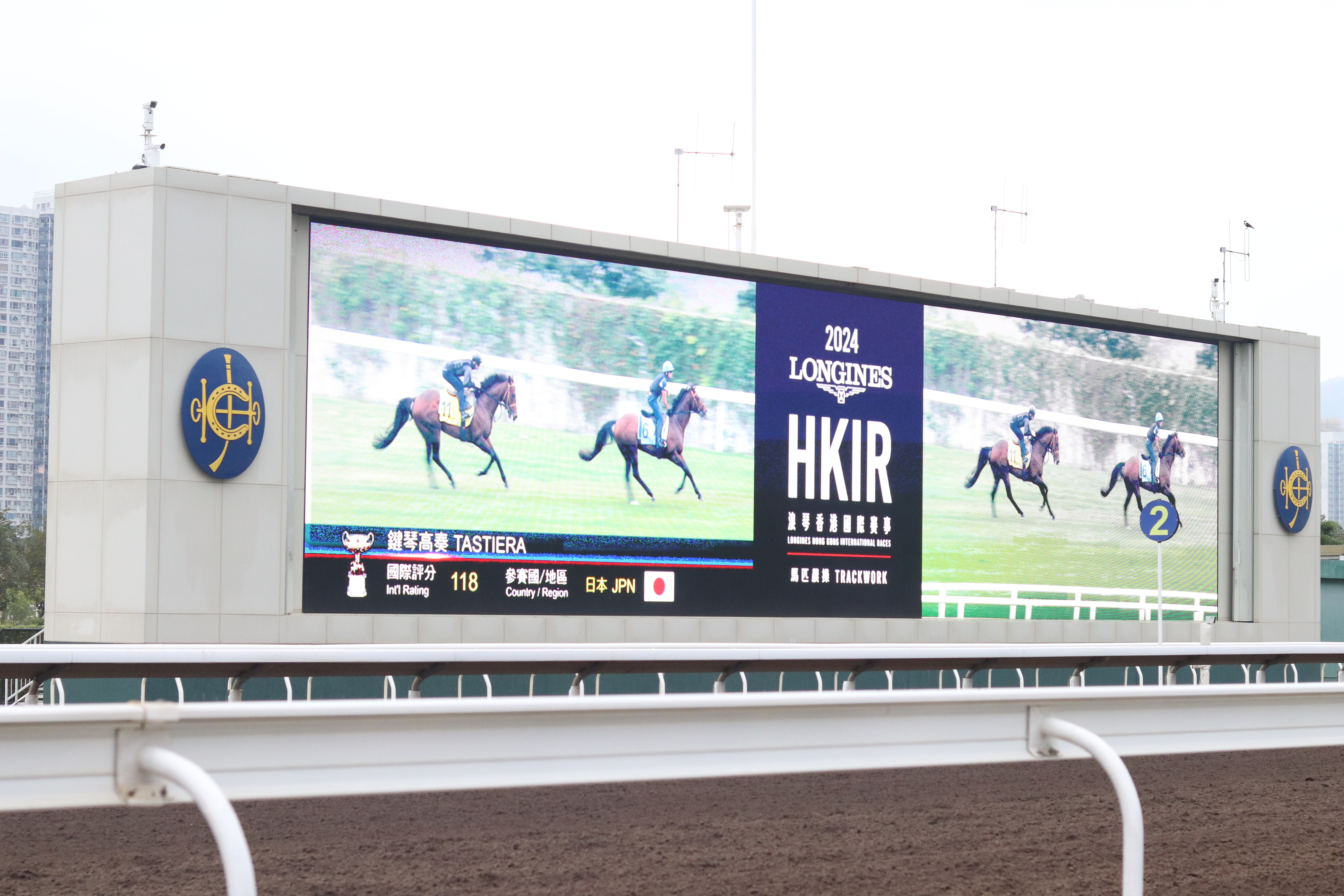 シャティン競馬場の様子(c)netkeiba