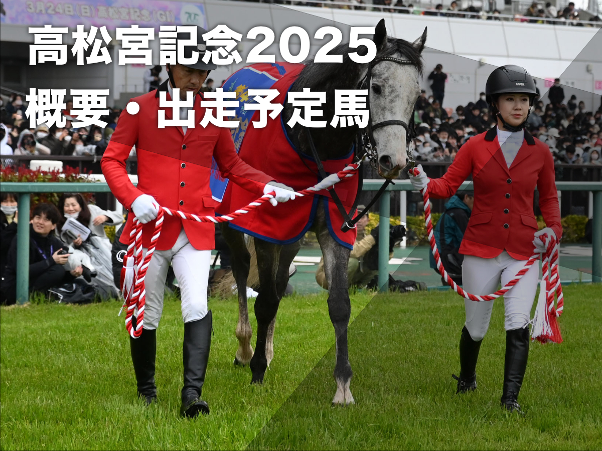 2024年の高松宮記念を制したマッドクール(c)netkeiba