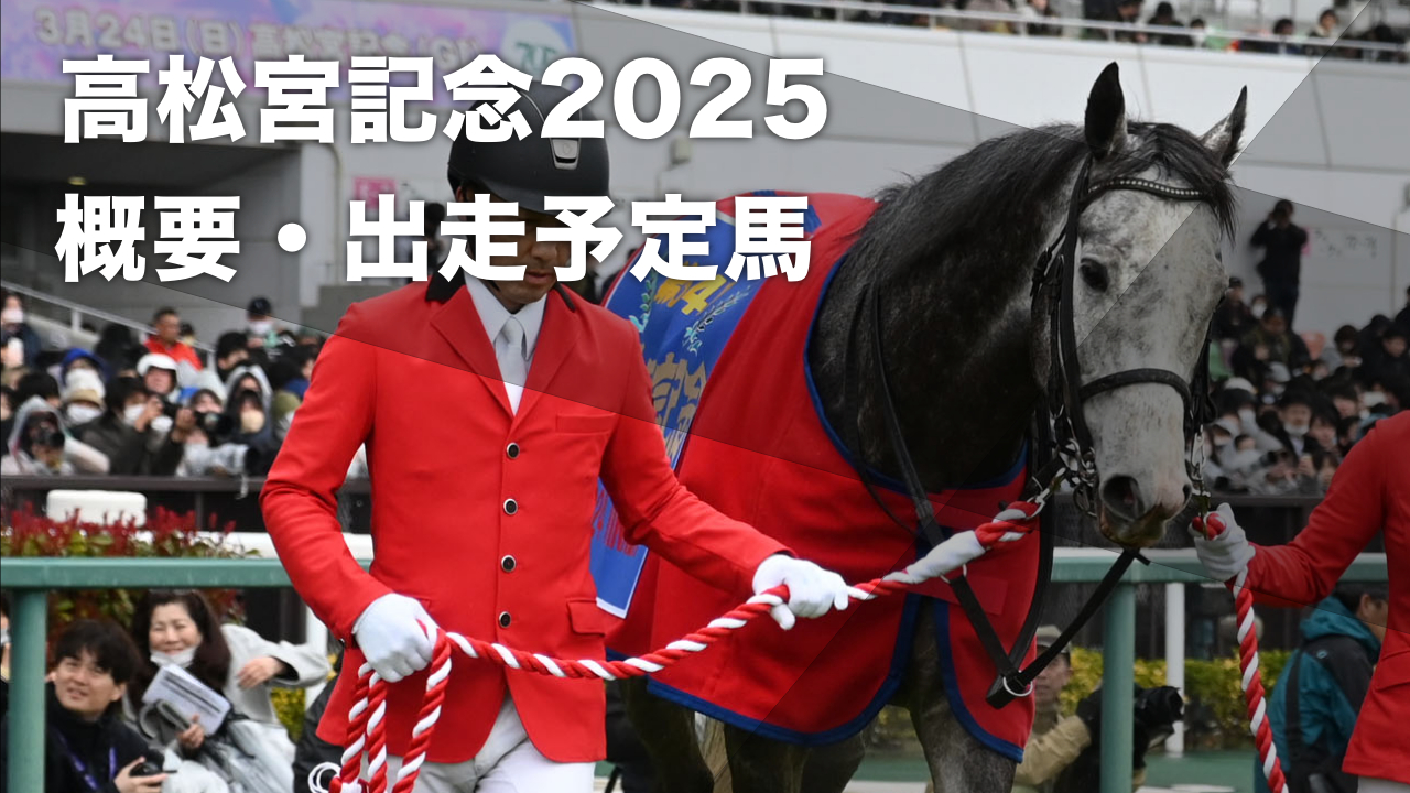 2024年の高松宮記念を制したマッドクール(c)netkeiba