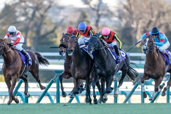 有馬記念を制したレガレイラ(撮影：下野雄規)