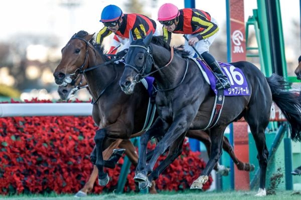 有馬記念 歴代優勝馬・騎手一覧（過去G1結果）