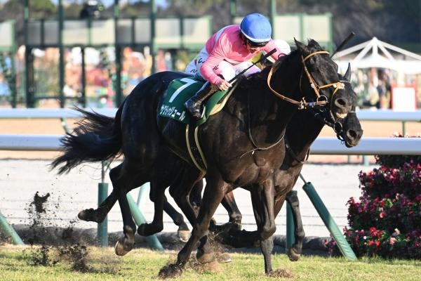 【京都金杯 2025結果情報】8歳馬サクラトゥジュールがV キング騎手は来日初日に重賞勝利