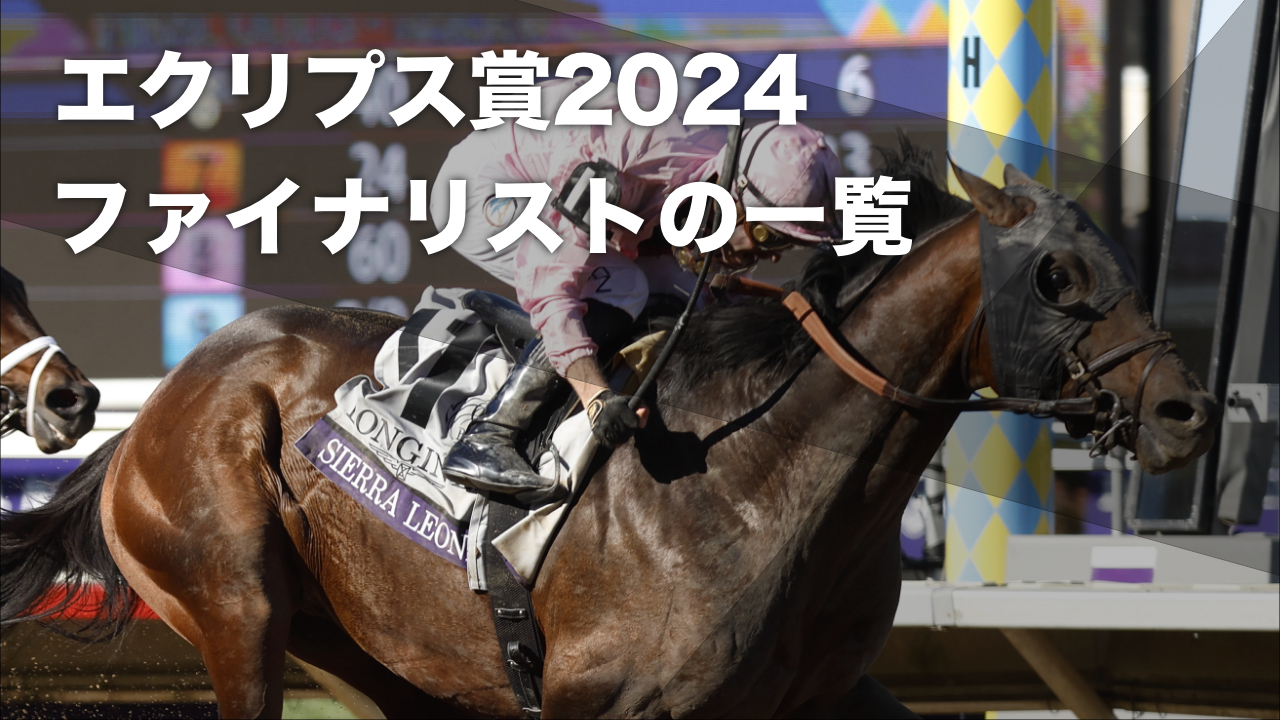 2024年BCクラシックを制したシエラレオーネ(撮影：高橋正和)