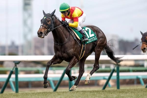【フェアリーステークス 2025結果情報】エリカエクスプレス3馬身差でV レースレコードで重賞初制覇