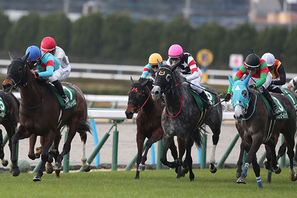 【小倉牝馬ステークス 2025結果情報】記念すべき第1回は同着に！ フェアエールングとシンティレーションが制す