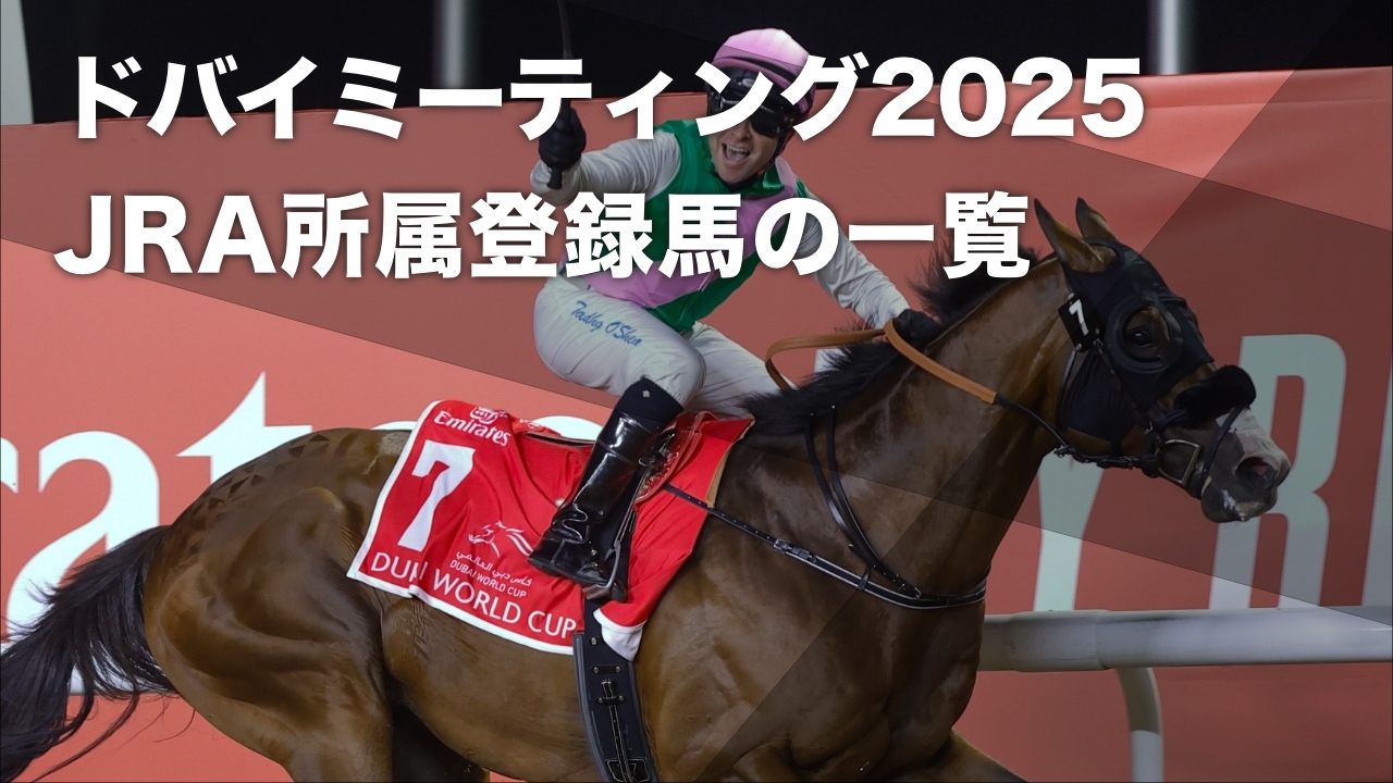 2024年ドバイワールドカップを勝利したローレルリバー(撮影：高橋正和)