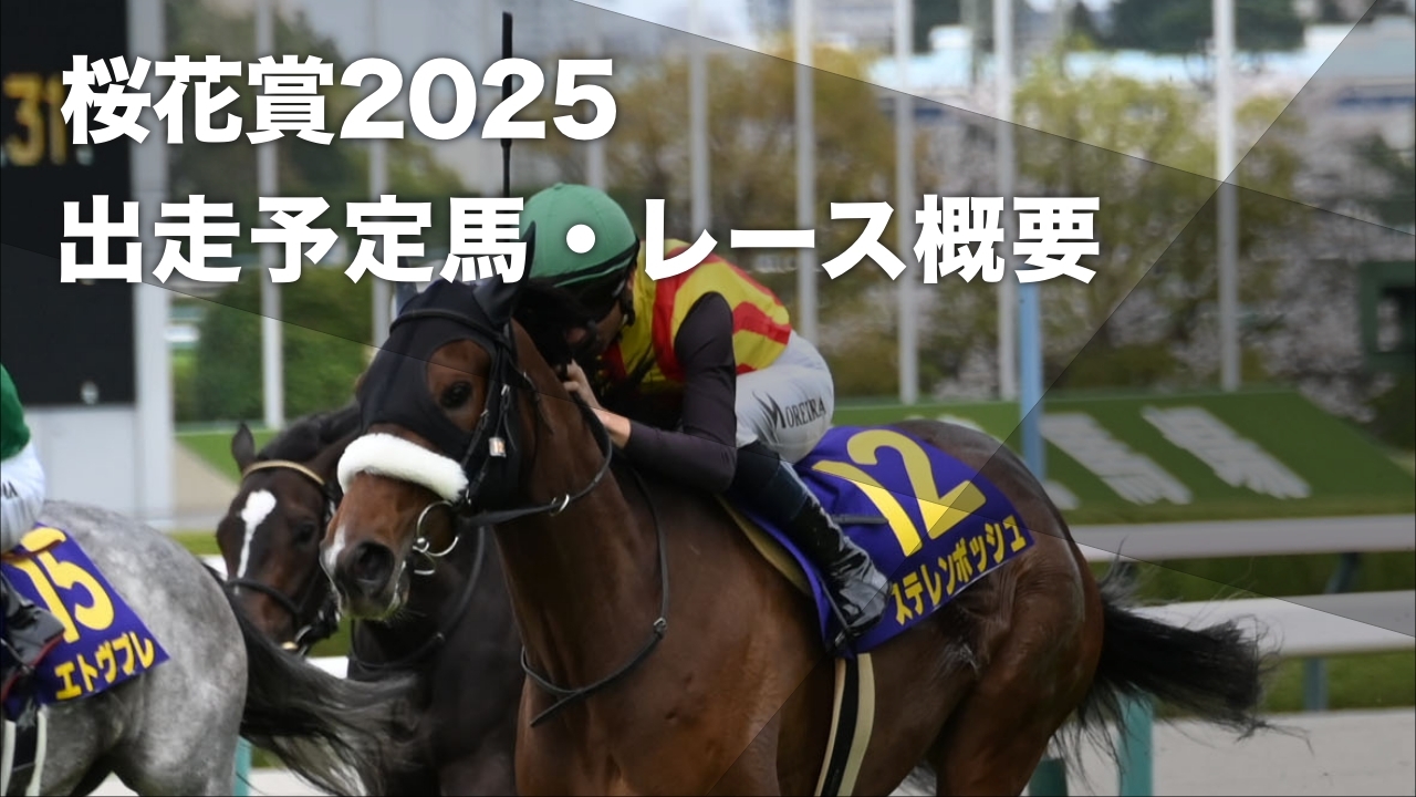 2024年の桜花賞を制したステレンボッシュ(c)netkeiba