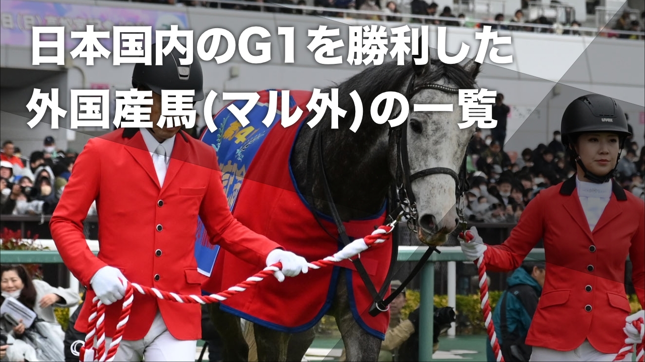 2024年の高松宮記念を制したアイルランド産馬マッドクール(c)netkeiba