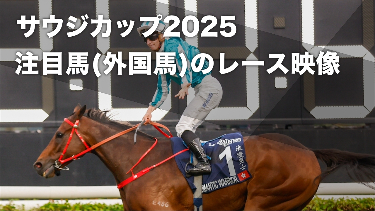 2025年サウジカップに出走を予定しているロマンチックウォリアー(撮影：高橋正和)