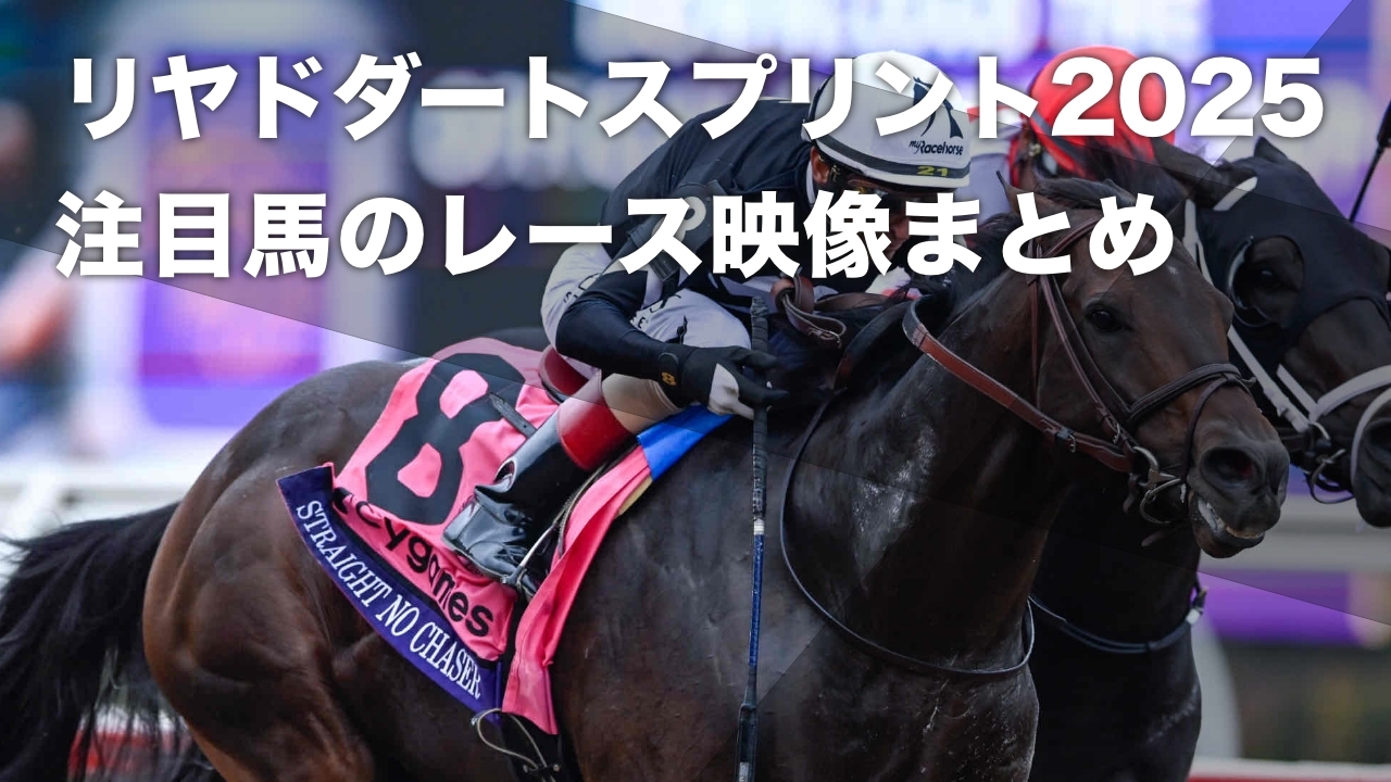 2024年BCスプリント優勝馬ストレートノーチェイサー(撮影：高橋正和)