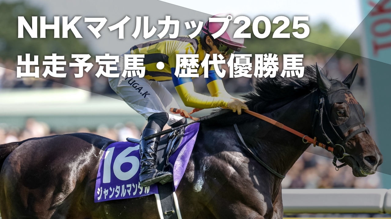 2024年のNHKマイルカップを制したジャンタルマンタル(撮影：下野雄規)