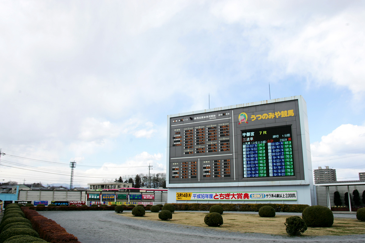 パドックと電光掲示板(撮影：下野雄規)