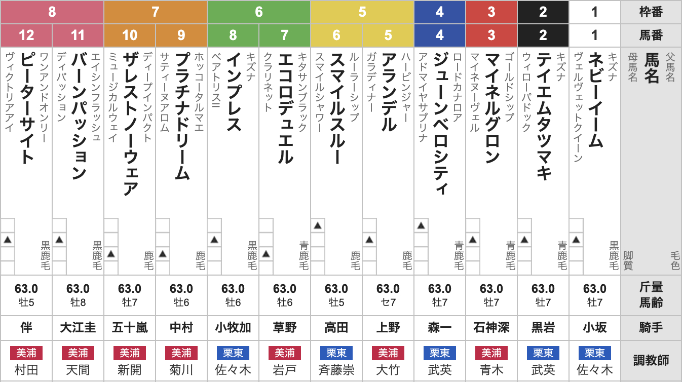 2025年中山グランドジャンプ(4月19日(土)15:40発走・4歳上・JG1・中山競馬場・障4260m・12頭)枠順