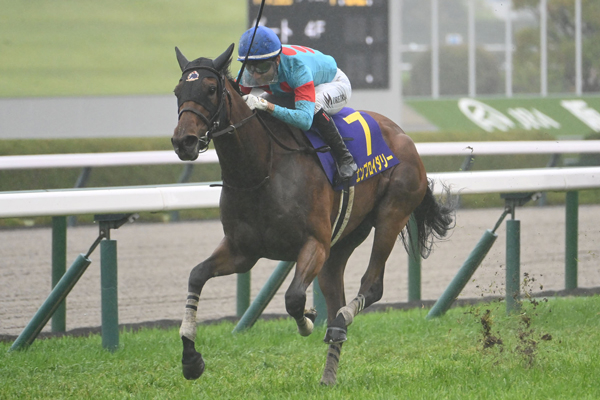 2025年 桜花賞 優勝馬 エンブロイダリー (c)netkeiba