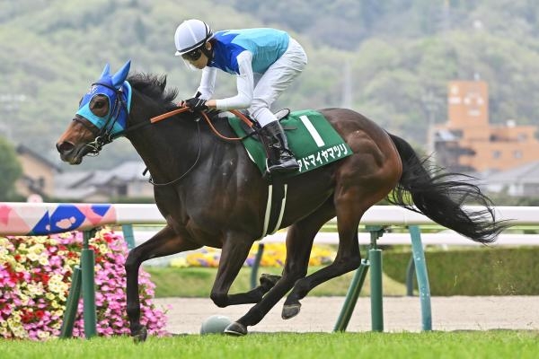 福島牝馬Sを制したアドマイヤマツリ(撮影：小金井邦祥)