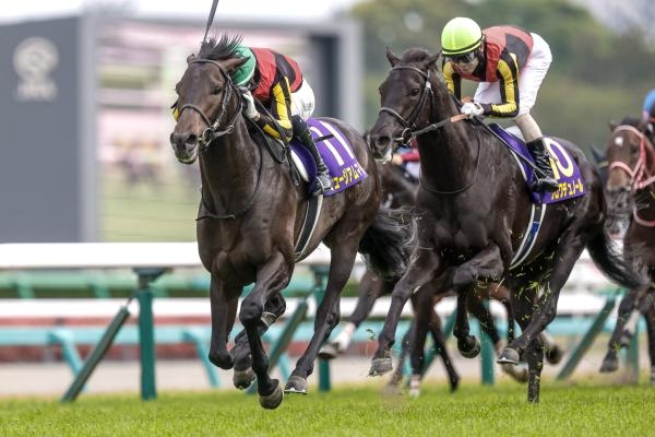 皐月賞を制したミュージアムマイル(撮影：下野雄規)