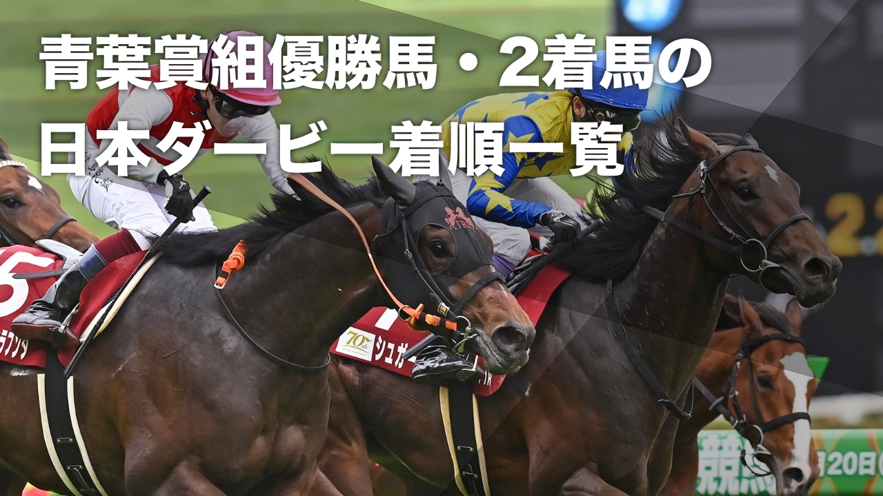 2024年青葉賞ゴール前の様子(撮影：小金井邦祥)