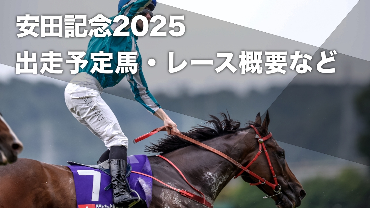 2023年の安田記念覇者ソングライン(撮影：下野雄規)