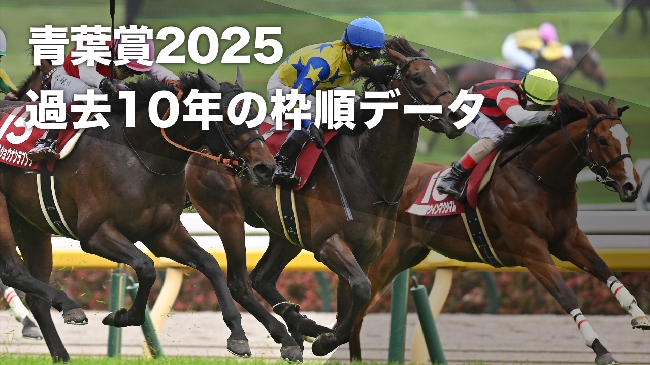 2024年の青葉賞シュガークン(撮影：小金井邦祥)