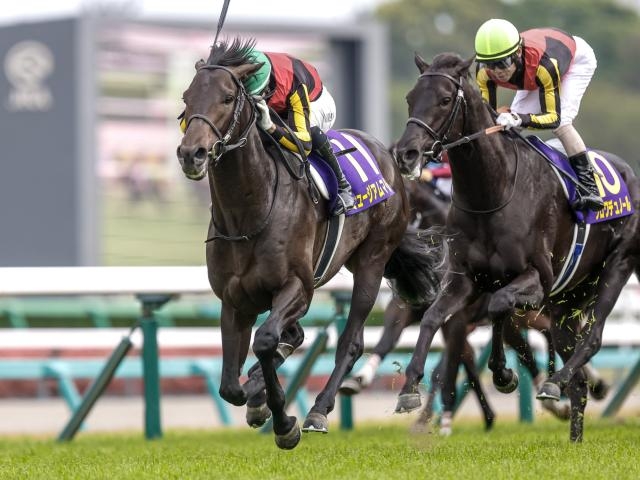 現在1位のミュージアムマイル(撮影：下野雄規)