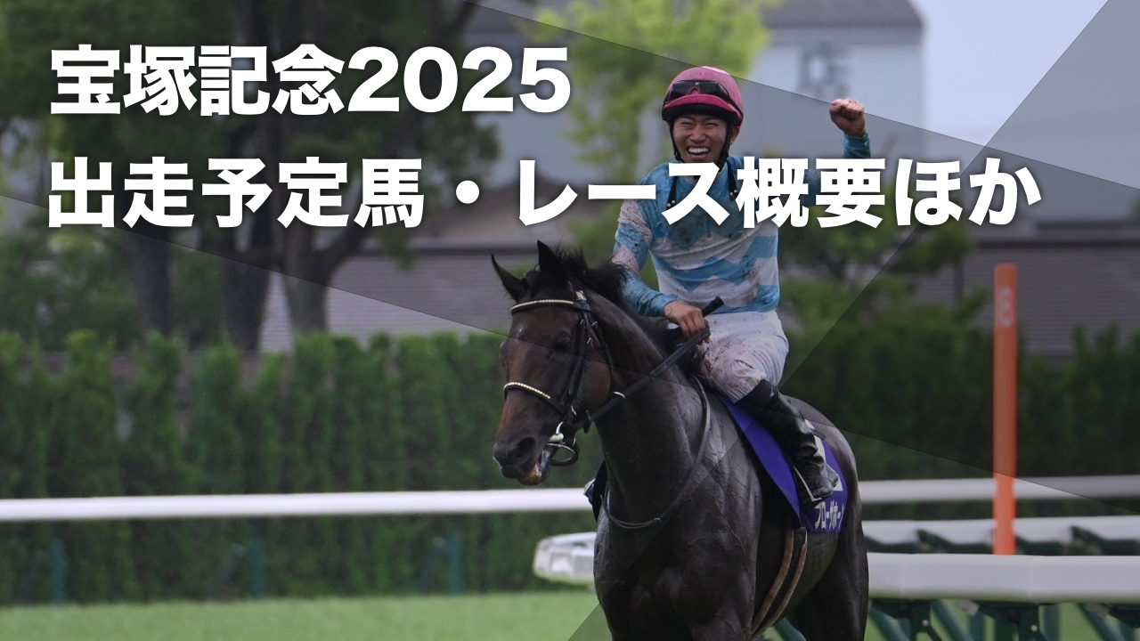 2024年の宝塚記念馬ブローザホーン(c)netkeiba