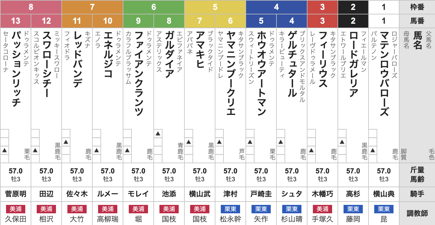 2025年青葉賞(4月26日(土)15:45発走・3歳・G2・東京競馬場・芝2400m・13頭)枠順