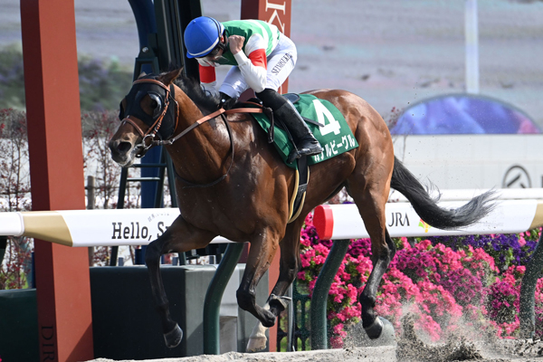 【ユニコーンステークス2025結果情報】カナルビーグルが連勝で東京ダービーへ 佐藤悠太調教師は開業2か月で重賞初出走Ｖ