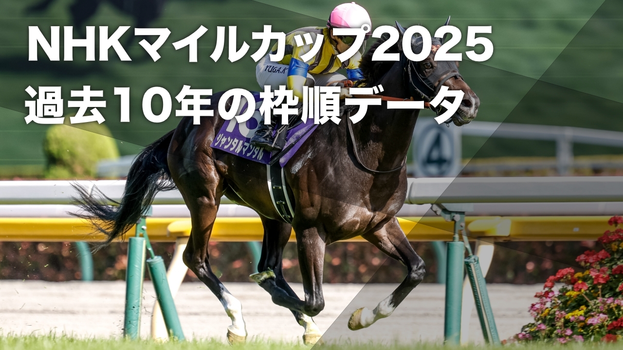 2024年のNHKマイルカップ覇者ジャンタルマンタル(撮影：下野雄規)