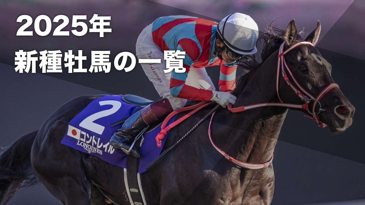 2020年に無敗クラシック三冠を達成したコントレイル(撮影：下野雄規)
