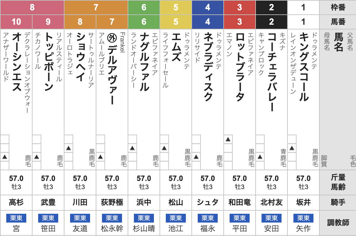 2025年京都新聞杯(5月10日(土)15:35発走・3歳・G2・京都競馬場・芝2200m・10頭)枠順