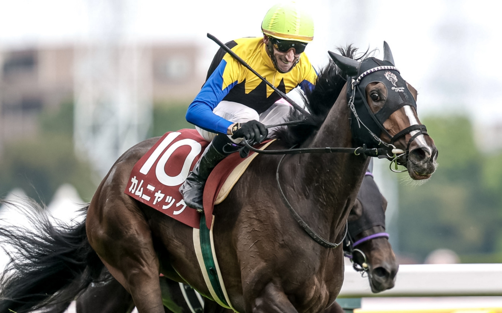 フローラステークス優勝馬カムニャック(撮影：下野雄規)