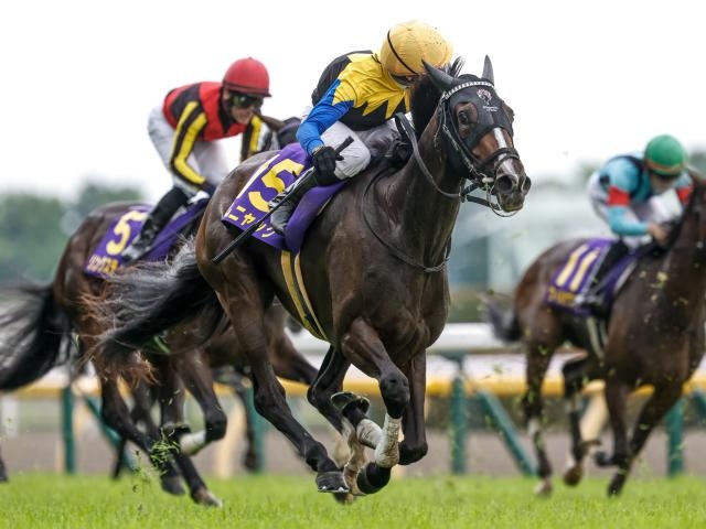 オークスを制したカムニャック(撮影：下野雄規)