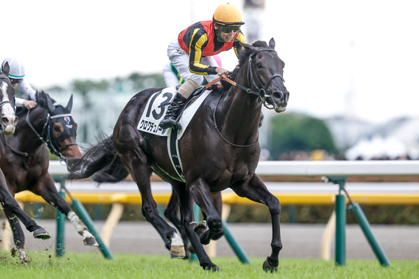 東京優駿（日本ダービー） 歴代優勝馬・騎手一覧