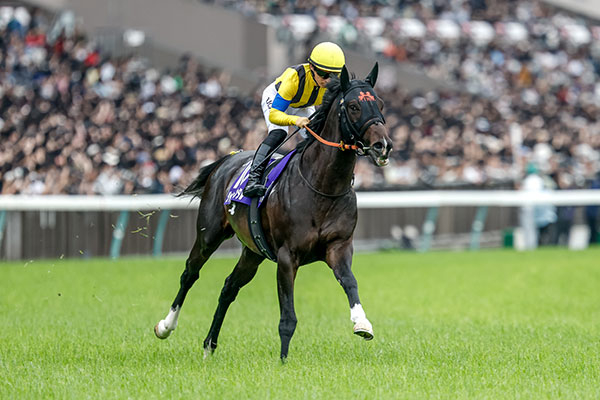 安田記念 歴代優勝馬・騎手一覧